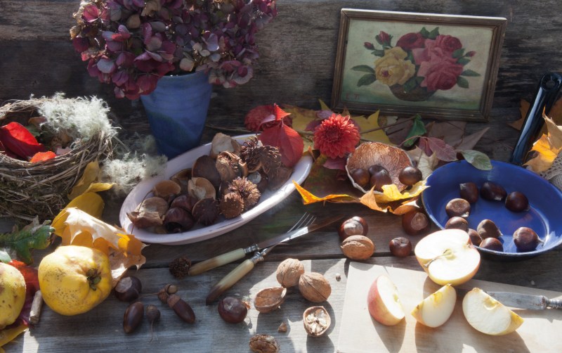 S30493-GermanCountryCooking-2F72